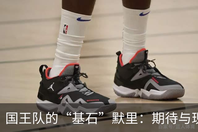国王队的“基石”默里：期待与现实的巨大差距
